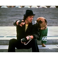 Rocky III Unsigned Rocky with Dog on Steps Photograph