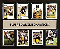 Pittsburgh Steelers Super Bowl XLIII Champions 12'' x 15'' Team Plaque
