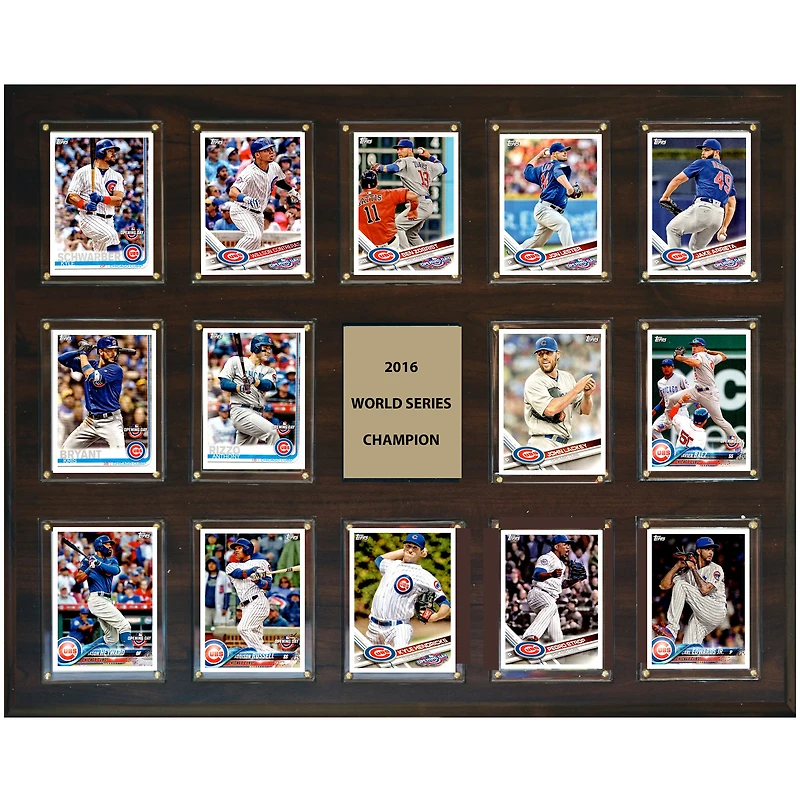 Chicago Cubs 2016 World Series Champions 16'' x 20'' Plaque