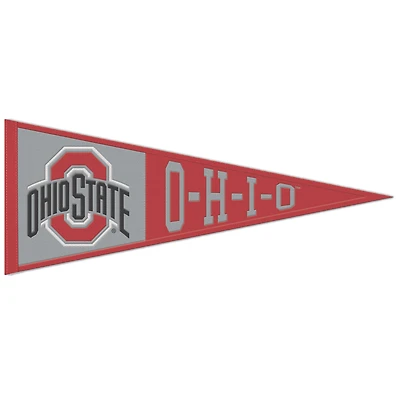 WinCraft Ohio State Buckeyes 13" x 32" Slogan Pennant
