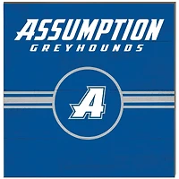 Assumption Greyhounds 10'' x 10'' Retro Team Sign