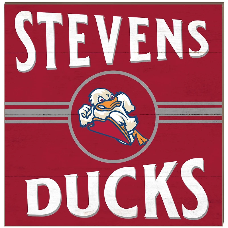 Stevens Institute of Technology Ducks 10'' x 10'' Retro Team Sign