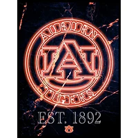 Black Auburn Tigers 12'' x 16'' Framed Circle Logo Print