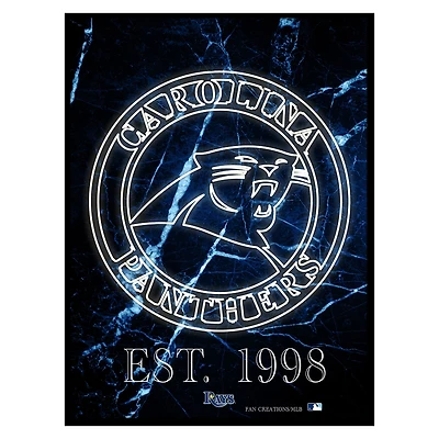 Black Tampa Bay Rays 12'' x 16'' Framed Circle Logo Print