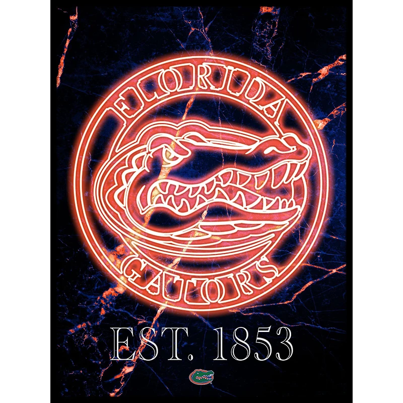 Black Florida Gators 12'' x 16'' Framed Circle Logo Print
