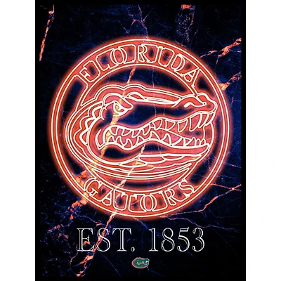 Black Florida Gators 12'' x 16'' Framed Circle Logo Print