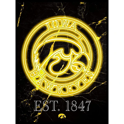 Black Iowa Hawkeyes 12'' x 16'' Framed Circle Logo Print