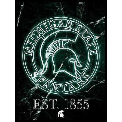 Black Michigan State Spartans 12'' x 16'' Framed Circle Logo Print