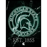 Black Michigan State Spartans 12'' x 16'' Framed Circle Logo Print