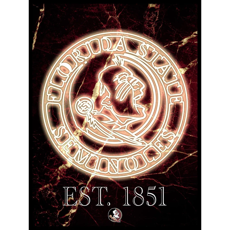 Black Florida State Seminoles 12'' x 16'' Framed Circle Logo Print