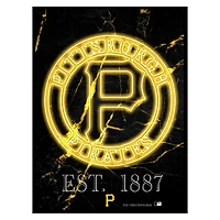Black Pittsburgh Pirates 12'' x 16'' Framed Circle Logo Print