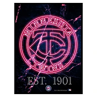 Black Minnesota Twins 12'' x 16'' Framed Circle Logo Print