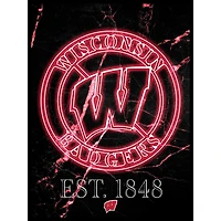 Black Wisconsin Badgers 12'' x 16'' Framed Circle Logo Print