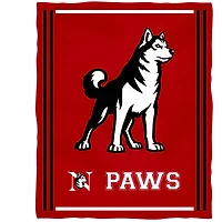 Northeastern Huskies 36'' x 48'' Children's Mascot Plush Blanket