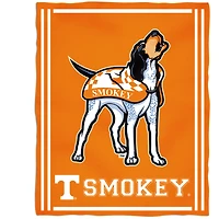 Tennessee Volunteers 36'' x 48'' Children's Mascot Plush Blanket