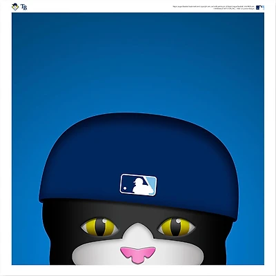 DJ Kitty Tampa Bay Rays 12'' x 12'' Minimalist Mascot Poster Print