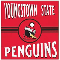 Youngstown State Penguins 10'' x 10'' Retro Team Plaque