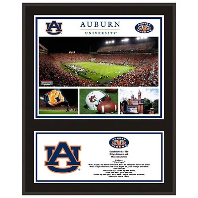 Auburn Tigers 12'' x 15'' Sublimated Team Plaque