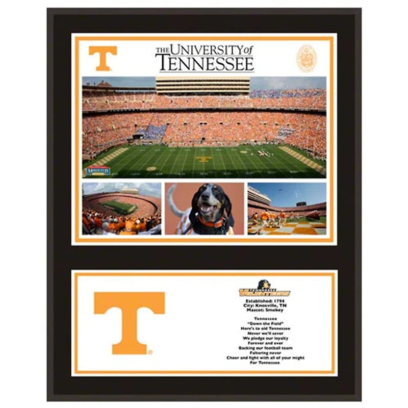 Tennessee Volunteers 12'' x 15'' Sublimated Team Plaque