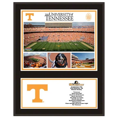 Tennessee Volunteers 12'' x 15'' Sublimated Team Plaque
