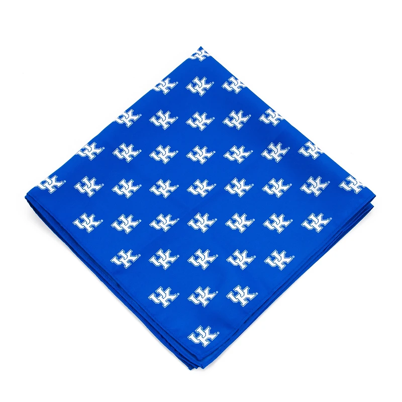 Kentucky Wildcats Kerchief Pocket Square