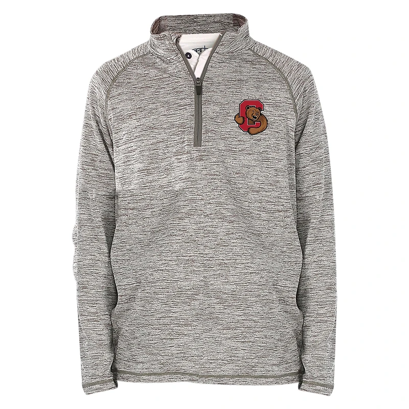 Youth Garb  Gray Cornell Big Red Matthew Quarter-Zip Top