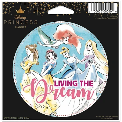 WinCraft Disney Princess 4.5" x 6" Indoor/Outdoor Magnet