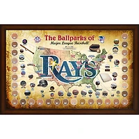 Tampa Bay Rays Framed 20" x 32" MLB Parks Map Collage with Game-Used Dirt from All 30 Stadiums