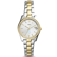 Women's Fossil  Silver/Gold Columbia University Scarlette Mini Two-Tone Stainless Steel Watch