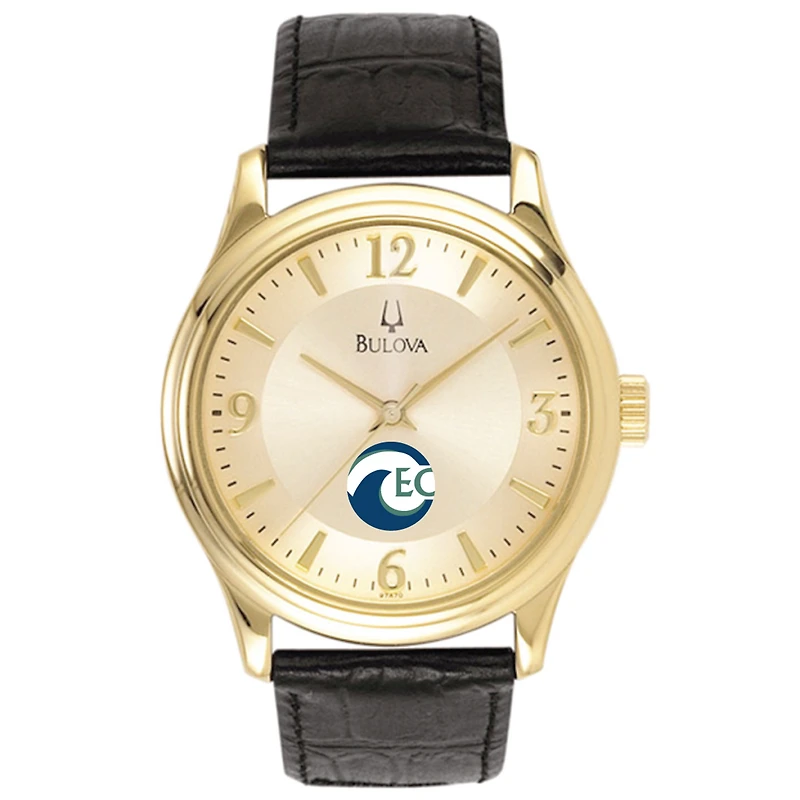 Men's Bulova Gold/Black Eckerd Tritons Stainless Steel Watch with Leather Band