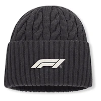 Men's Fanatics  Gray Formula 1 Direct Oversized Cuffed Knit Hat