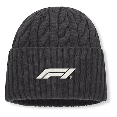 Men's Fanatics  Gray Formula 1 Direct Oversized Cuffed Knit Hat