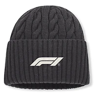 Men's Fanatics  Gray Formula 1 Direct Oversized Cuffed Knit Hat