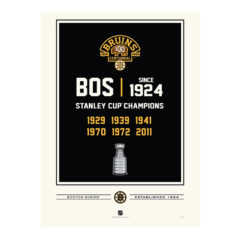 Boston Bruins Centennial 12" x 16" Empire Print