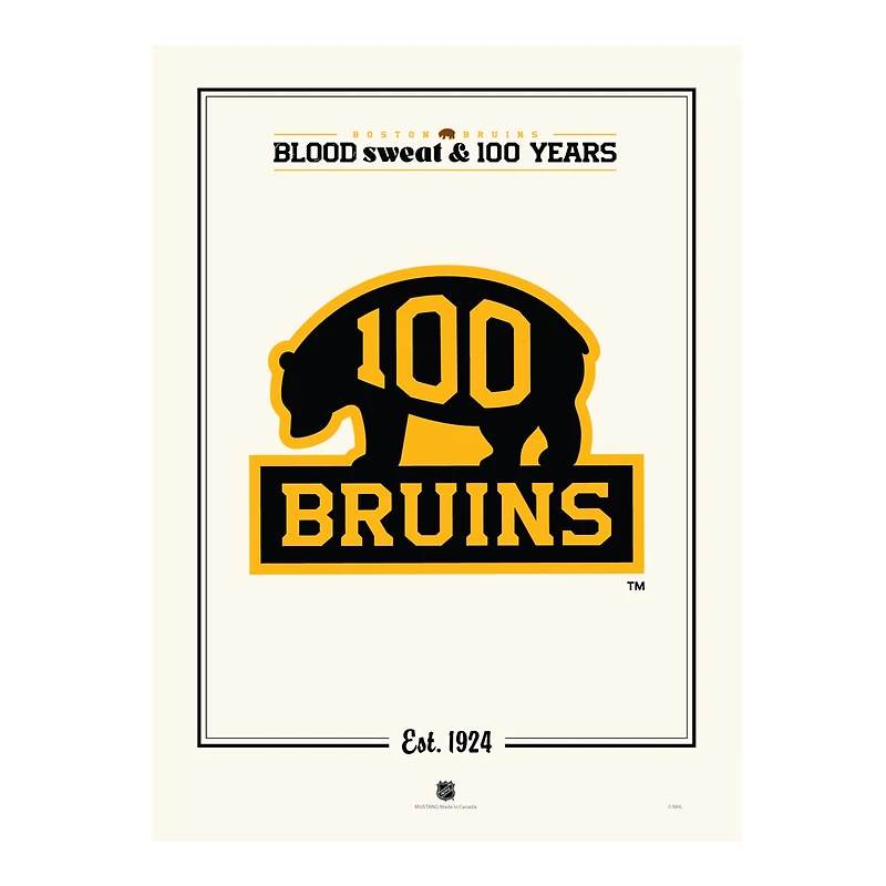 Boston Bruins Centennial 12" x 16" Alternate Logo Print
