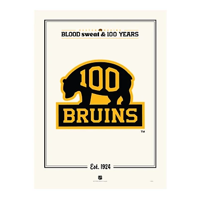 Boston Bruins Centennial 12" x 16" Alternate Logo Print