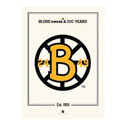 Boston Bruins Centennial 12" x 16" Spoke "B" Print