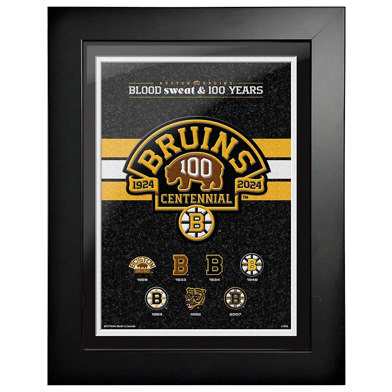 Boston Bruins Centennial 12" x 16" Logo History Framed Print