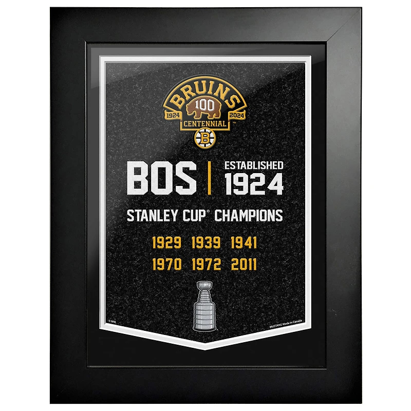 Boston Bruins Centennial 12" x 16" Empire Framed Print