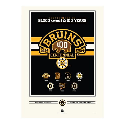Boston Bruins Centennial 12" x 16" Logo History Print