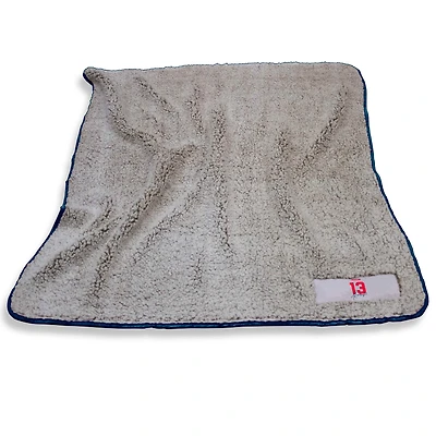 Alex Morgan USWNT 50" x 60" Frosty Fleece Blanket