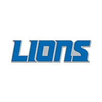 WinCraft Detroit Lions Secondary Logo Collector's Pin