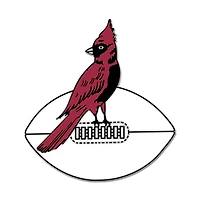 WinCraft Arizona Cardinals Retro Collector Pin