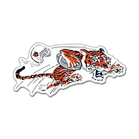 WinCraft Cincinnati Bengals Retro Collector Pin