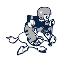 WinCraft Dallas Cowboys Retro Collector Pin