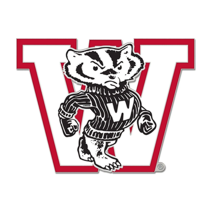 WinCraft Wisconsin Badgers College Vault Collector Pin