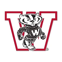WinCraft Wisconsin Badgers College Vault Collector Pin