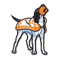 WinCraft Tennessee Volunteers Mascot Collector Pin