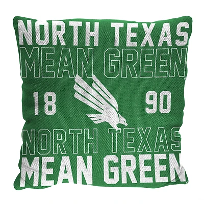 The Northwest Group  North Texas Mean Green 20" x 20" Stacked Pillow