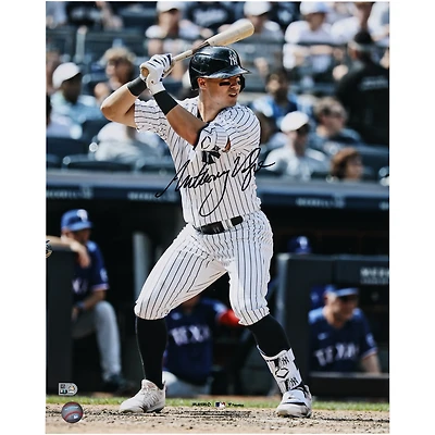 Anthony Volpe New York Yankees Autographed 16" x 20" Pinstripe Jersey Batting Stance Photograph
